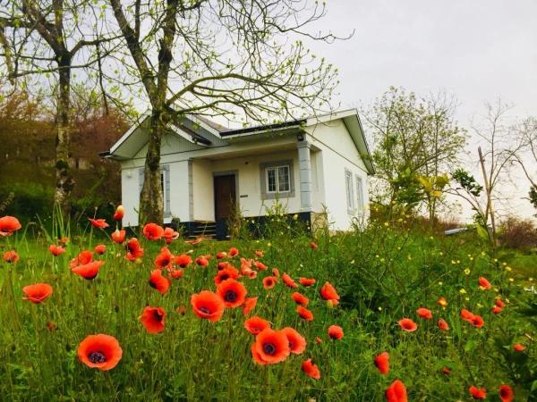 ویلا باغ قصر سفید در ماسال ویلا باغ قصر سفید در ماسال