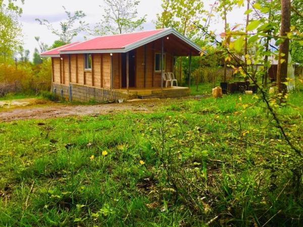 کلبه جنگلی در ماسال کلبه جنگلی در ماسال