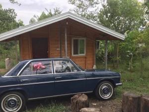 کلبه جنگلی در ماسال کلبه جنگلی در ماسال