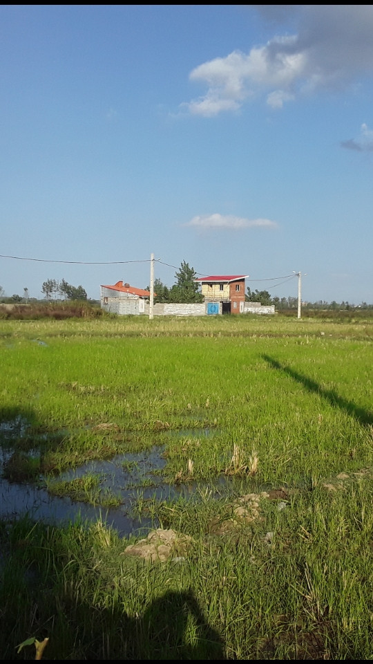 ویلا 600متری حیاط دار در گیلان