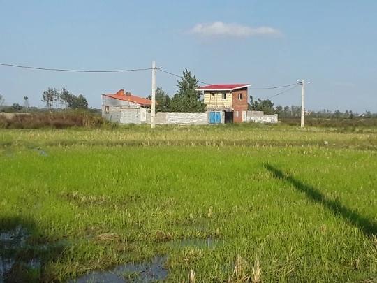 ویلا 600متری حیاط دار در گیلان ویلا 600متری حیاط دار در گیلان