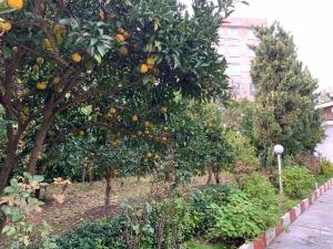 ویلا گلسار در سلمان شهر ویلا گلسار در سلمان شهر