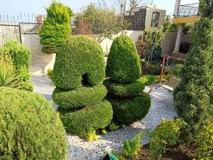 ویلا سه خوابه ساحلی در رامسر ویلا سه خوابه ساحلی در رامسر