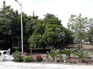 ویلا حیاط دار در رامسر ویلا حیاط دار در رامسر