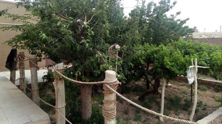 اقامتگاه بوم گردی ریواس مهریز