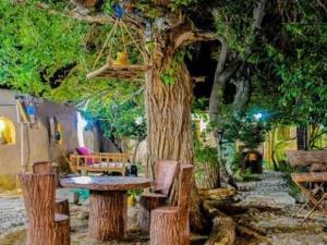 اقامتگاه بوم گردی سرو کهن ابرکوه اقامتگاه بوم گردی سرو کهن ابرکوه