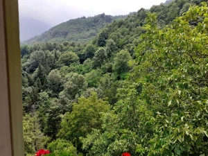 ویلا ییلاقی در جواهرده ویلا ییلاقی در جواهرده