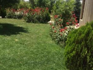 باغ ویلا شیک باغ ویلا شیک