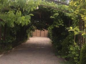 باغ ویلا شیک باغ ویلا شیک