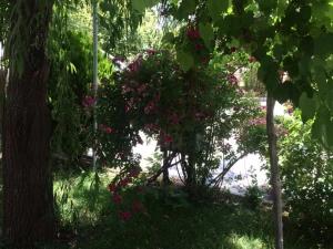 باغ ویلا شیک باغ ویلا شیک