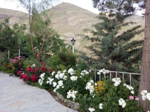 ویلا باغ سینا در لواسان