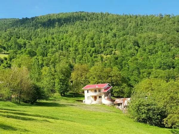ویلا جنگلی در روستای بهشتی ییلاق تالش کد930 ویلا جنگلی در روستای بهشتی ییلاق تالش کد930