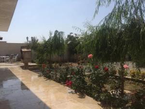 ویلا باغ کوهستانی در کردان 3005 ویلا باغ کوهستانی در کردان 3005