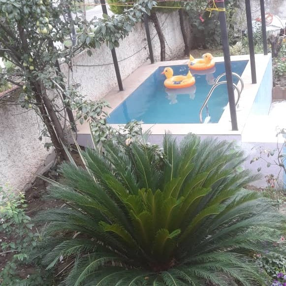 فاطمه اکبرزاده