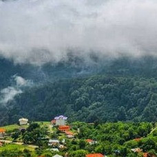 آقای علیزاده