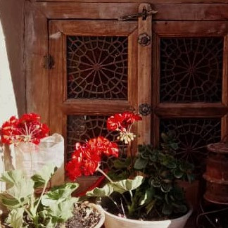 پشتیبان آنلاین اقامتگاه بوم گردی ترمه خاتون دامغان