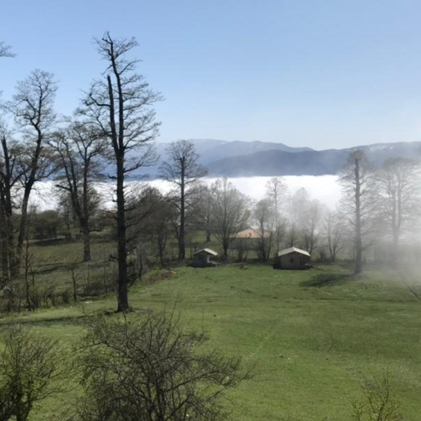 پشتیبان آنلاین اقامتگاه بوم گردی شوکا گلستان