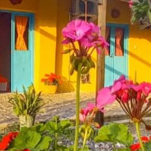 پشتیبانی آنلاین اقامتگاه بوم گردی امی وی جا گیلان