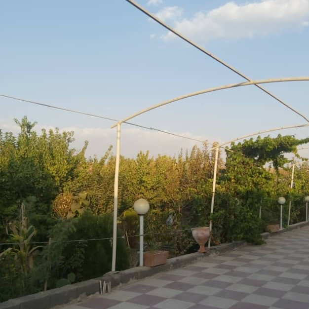 زهرا علیزاده