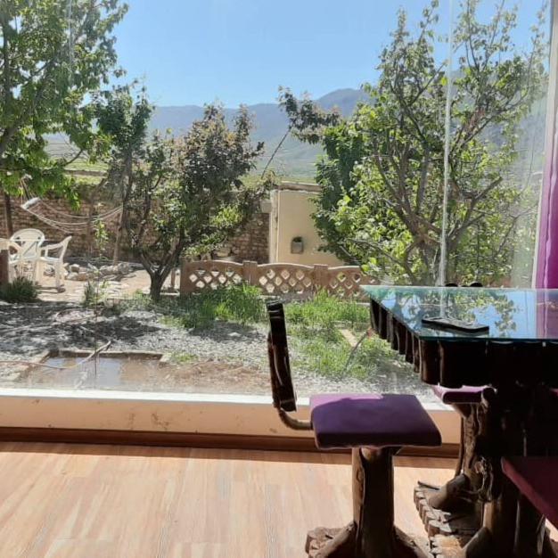 شیما معروفی