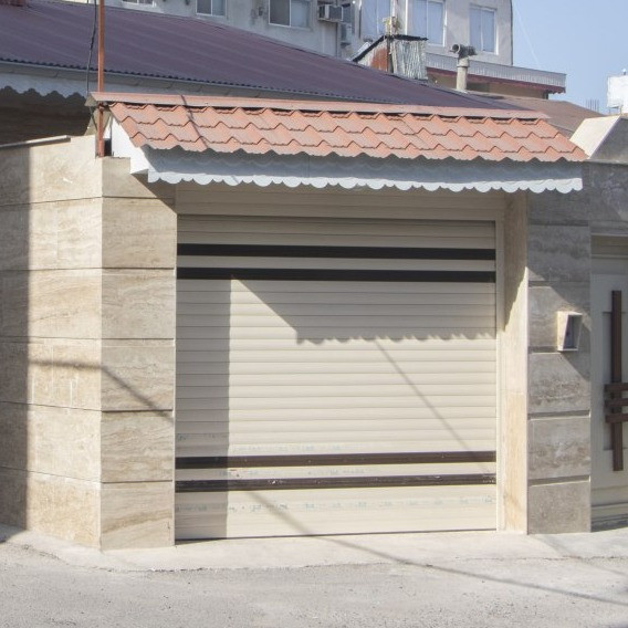 انوش ابراهیمی فرد