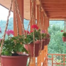 پشتیبانی آنلاین اقامتگاه بومگردی شمعدونی فومن