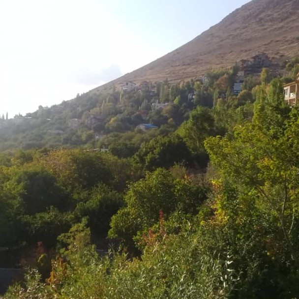 امیر اصفهانی