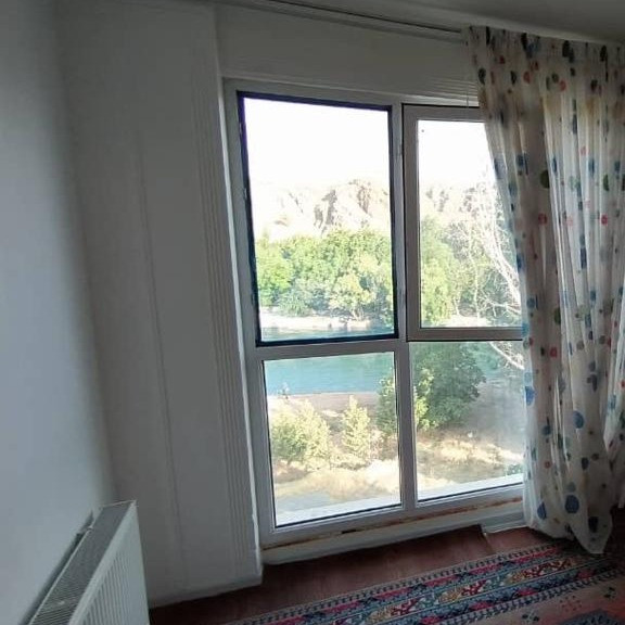 فریبا یعقوبی