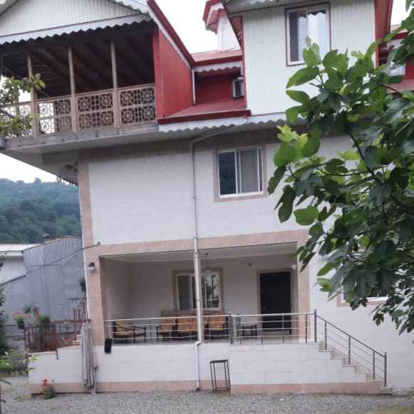 مهدی رهنمای