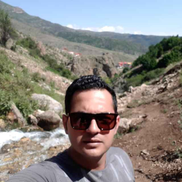 شایان شریفی