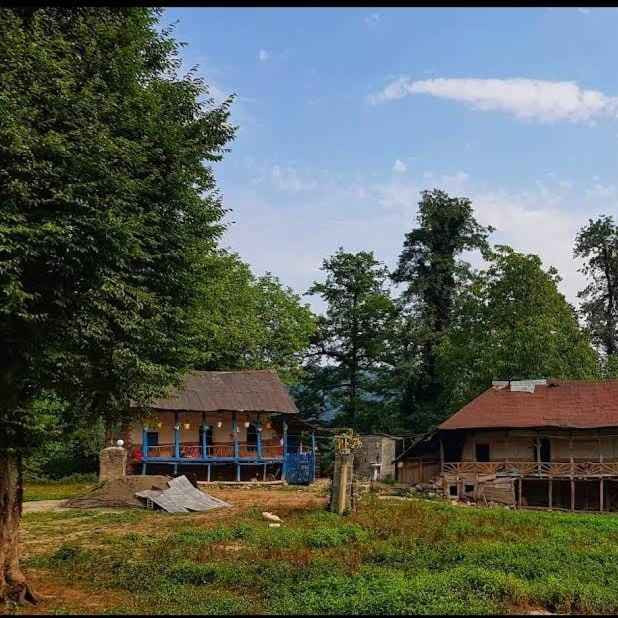 پشتیبانی آنلاین اقامتگاه بوم گردی ویشه سوادکوه