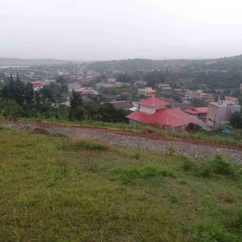 آقای احمد هاشم زاده