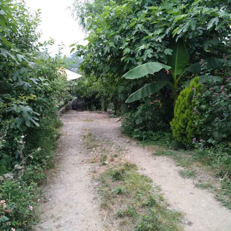 محمد حسین قربانی