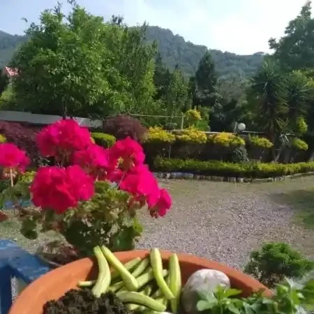 پشتیبانی آنلاین اقامتگاه بوم گردی باغ بهشت تنکابن