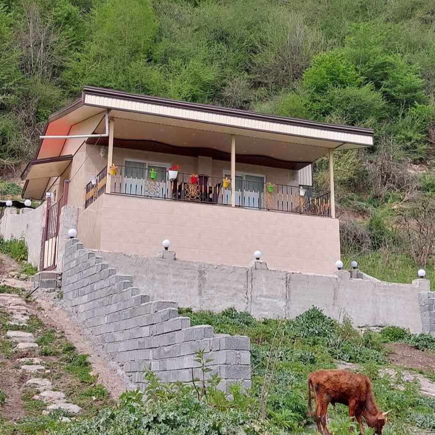 سیده فاطمه موسوی