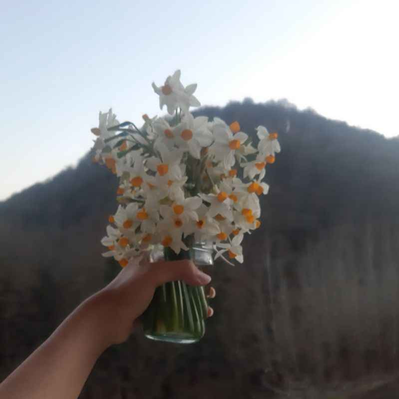 آزیتا رضایی