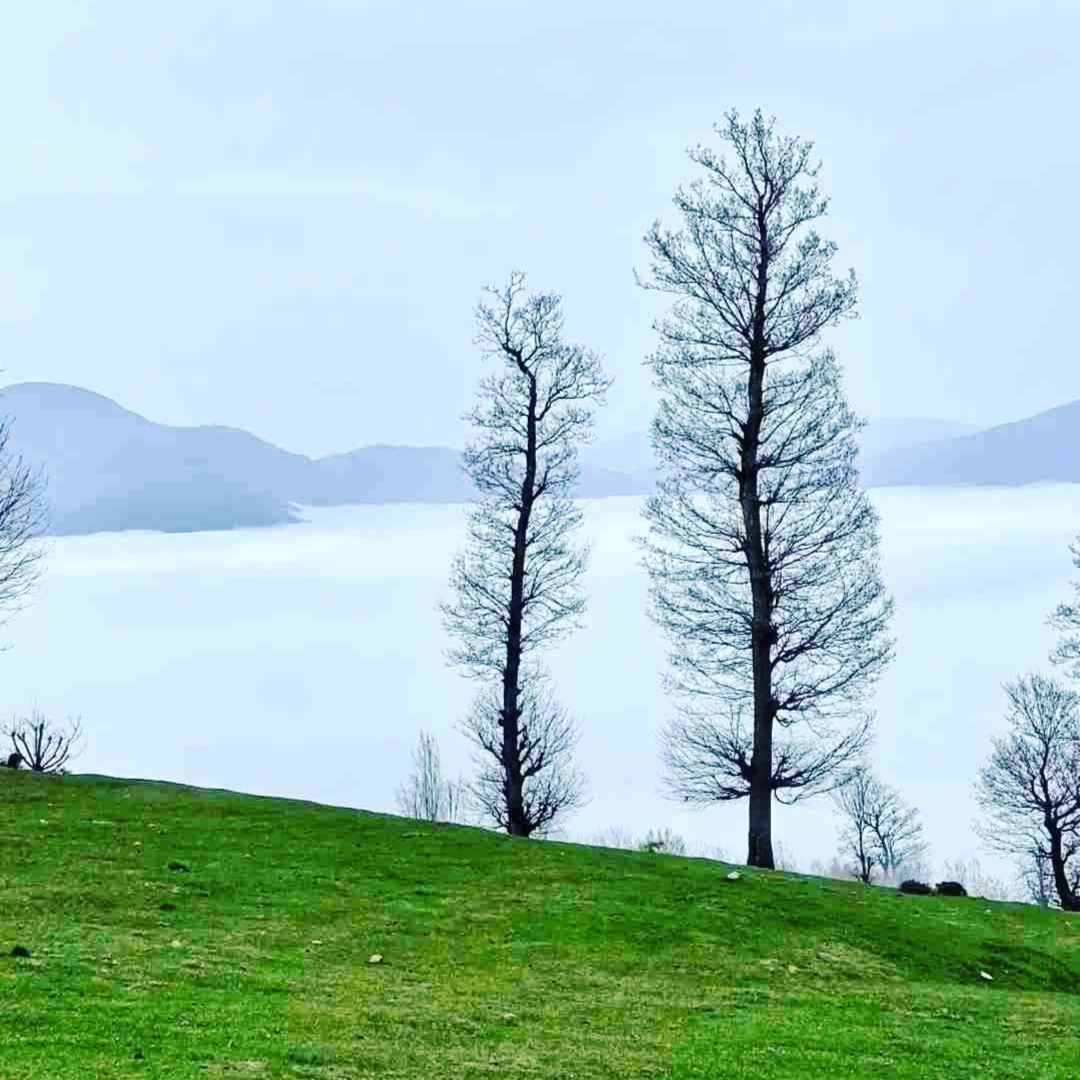 محمدحسن قاسمی