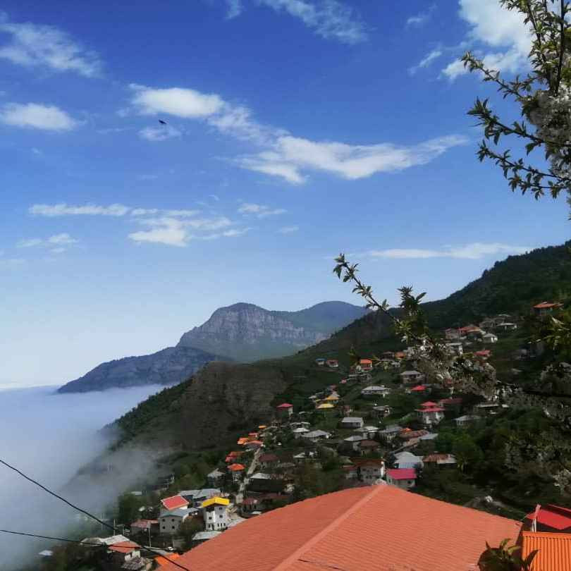 ارسلان قلی نژاد