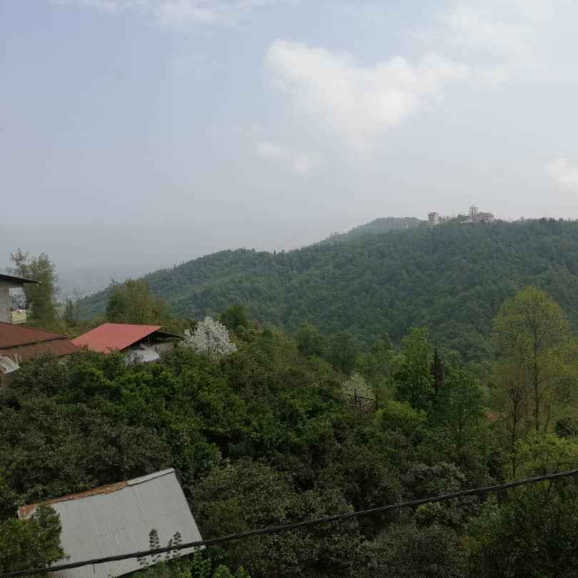 ضرغام شاهمرادی