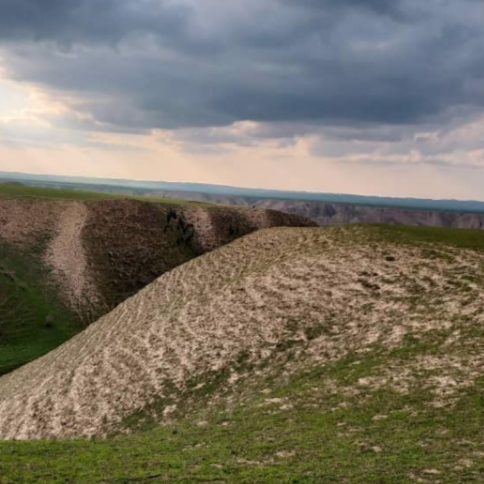 مرتضی حقانی