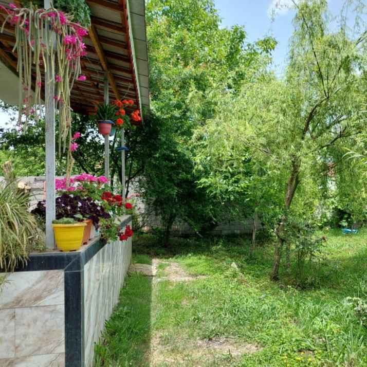 مریم حسن جانی