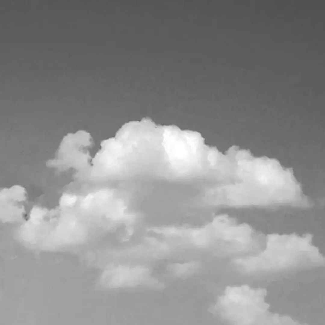 علیرضا نوبخت