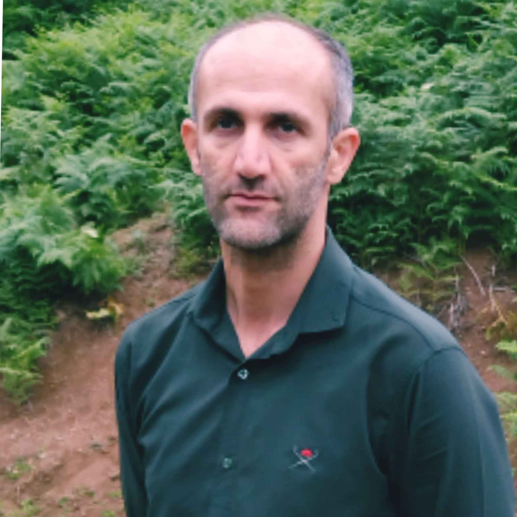 بهزاد قربانی