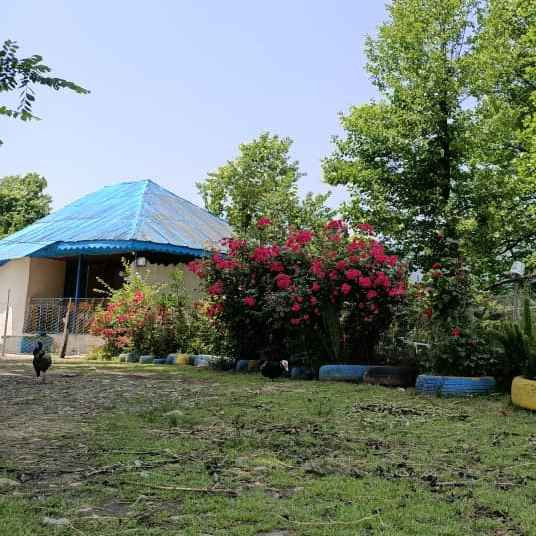 مهیار محمدزاده سیاه کشی