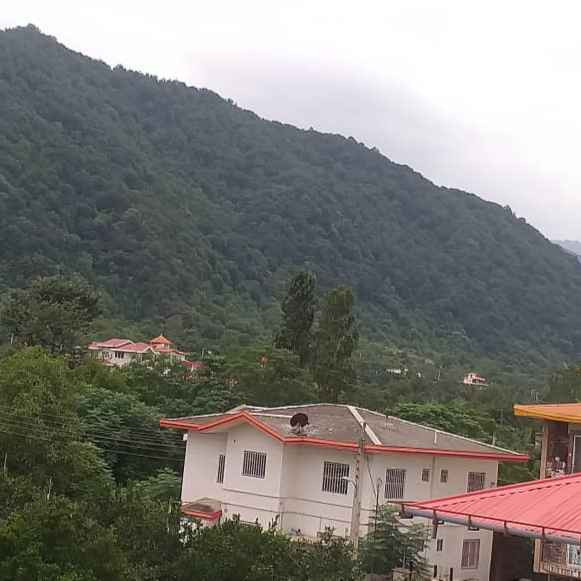 الهام فرخیان