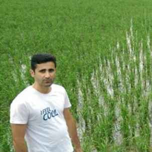 اسفندیار دهقان