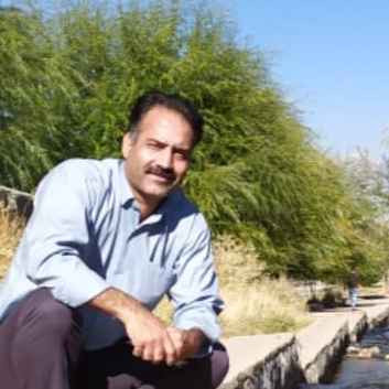 حمید چراغی