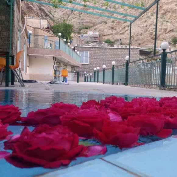 ریبوار ارژنگ