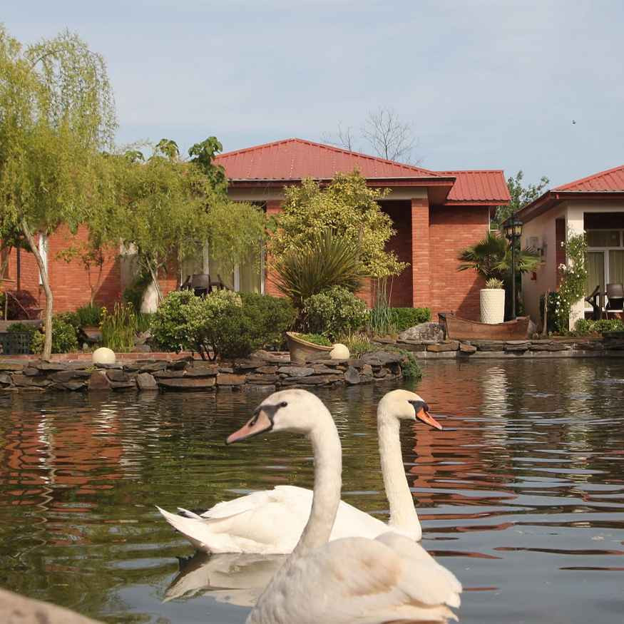 پشتیبانی آنلاین هتل مزرعه قوها لاهیجان