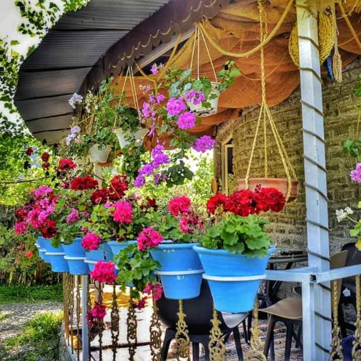 زینب شیر علی نیا